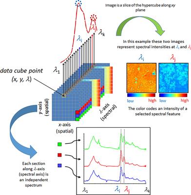 Principles and Applications of Vibrational Spectroscopic Imaging in Plant Science: A Review